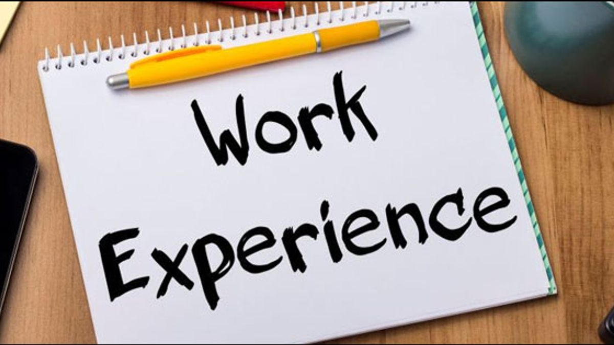 work experience digitalmore.in